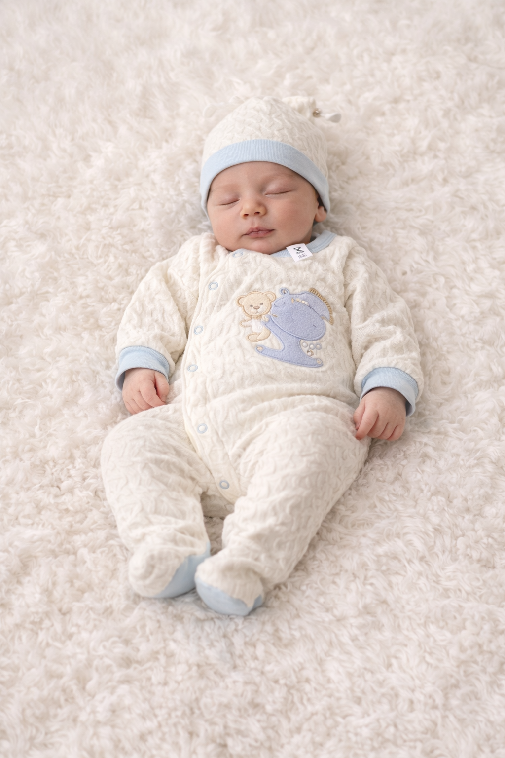 Hasper(Nueva Colección)